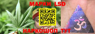 spice Краснознаменск